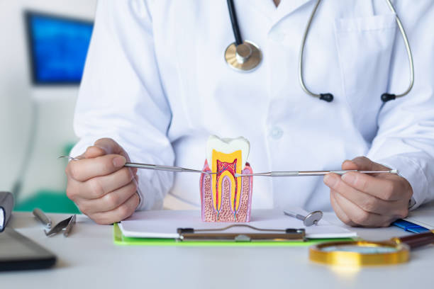 Best Cosmetic Emergency Dentistry in Lake Camelot, WI